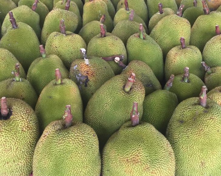 Jackfruit.jpg