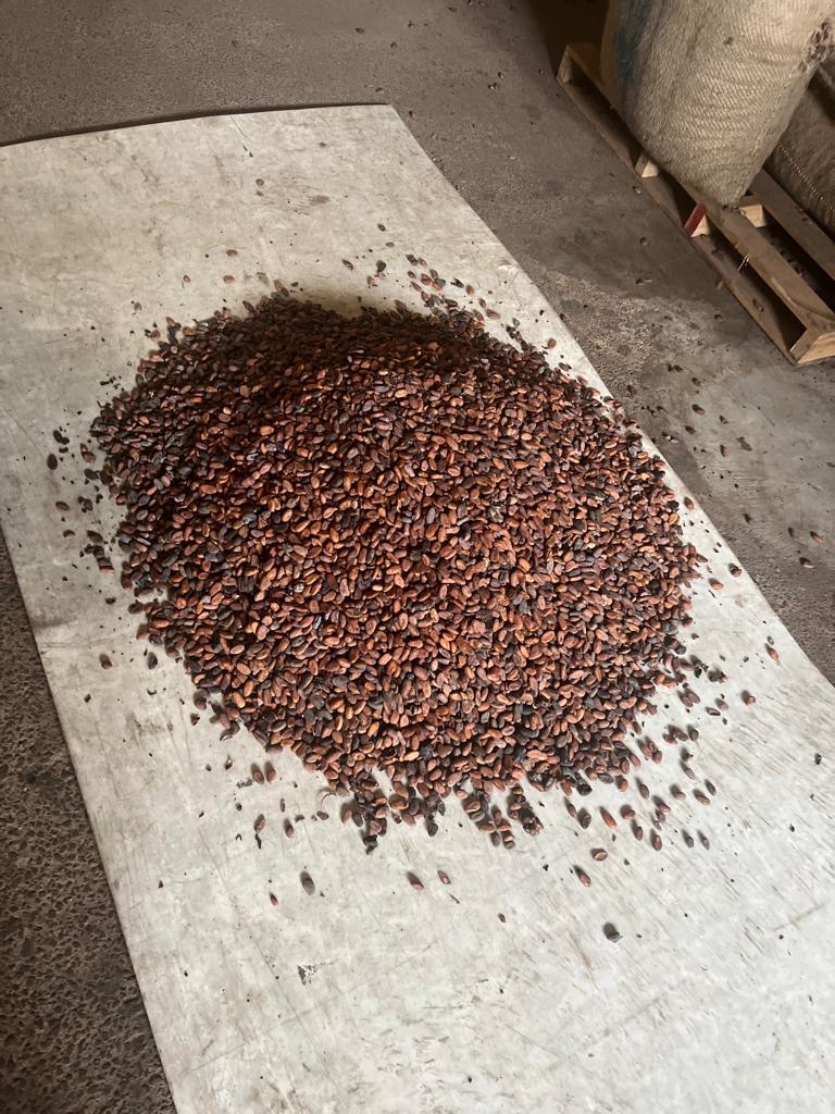 WhatsApp Image 2024-12-11 at 04.59.04.jpeg