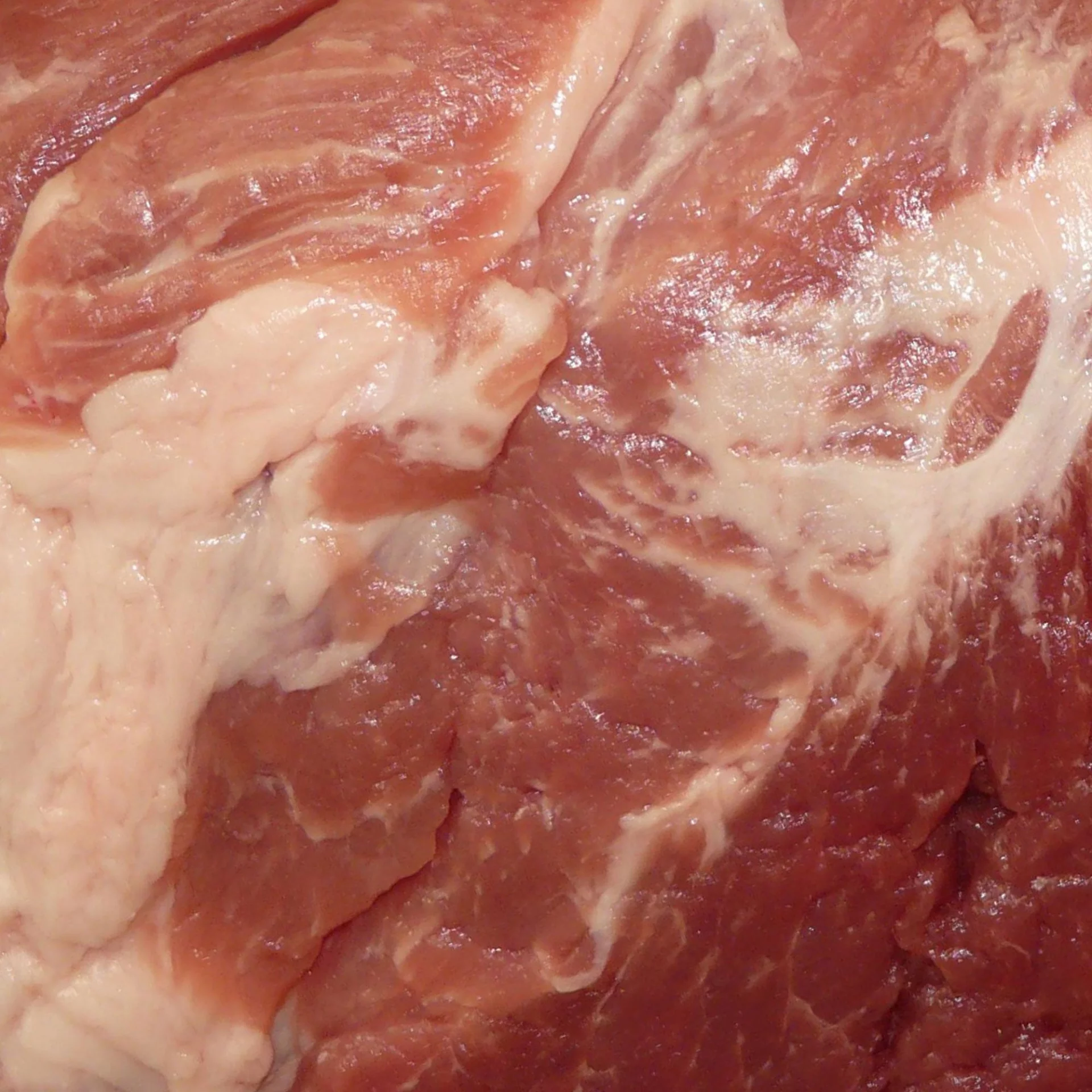 meat-supplier-beef-brisket-4ff17705.webp