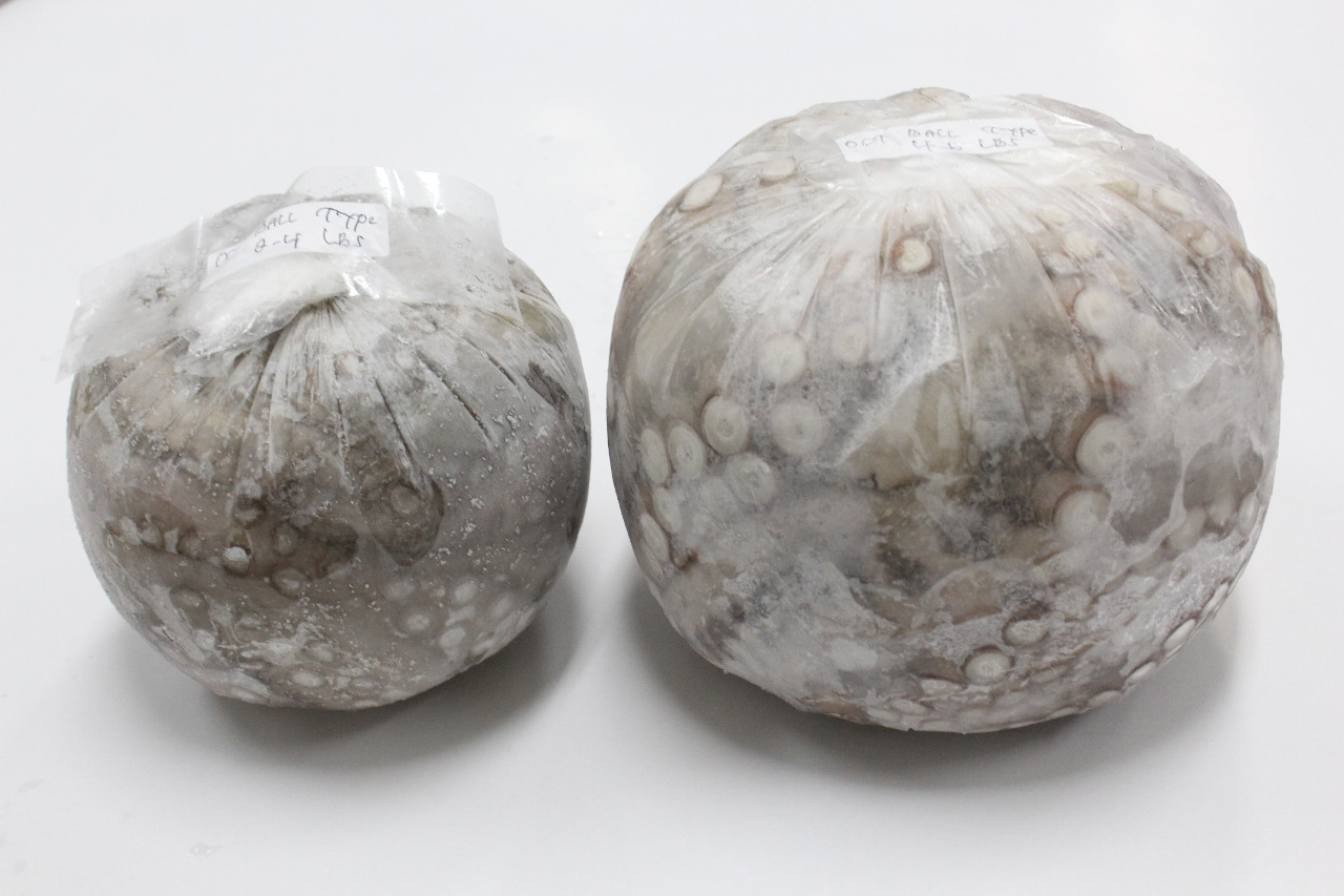 Octopus Ball 2-4Lbs and 4-6Lbs_2.jpg