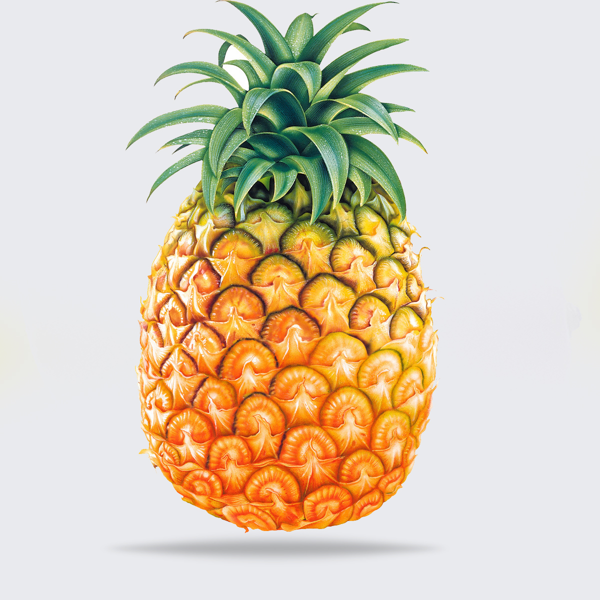 pineapple.jpg