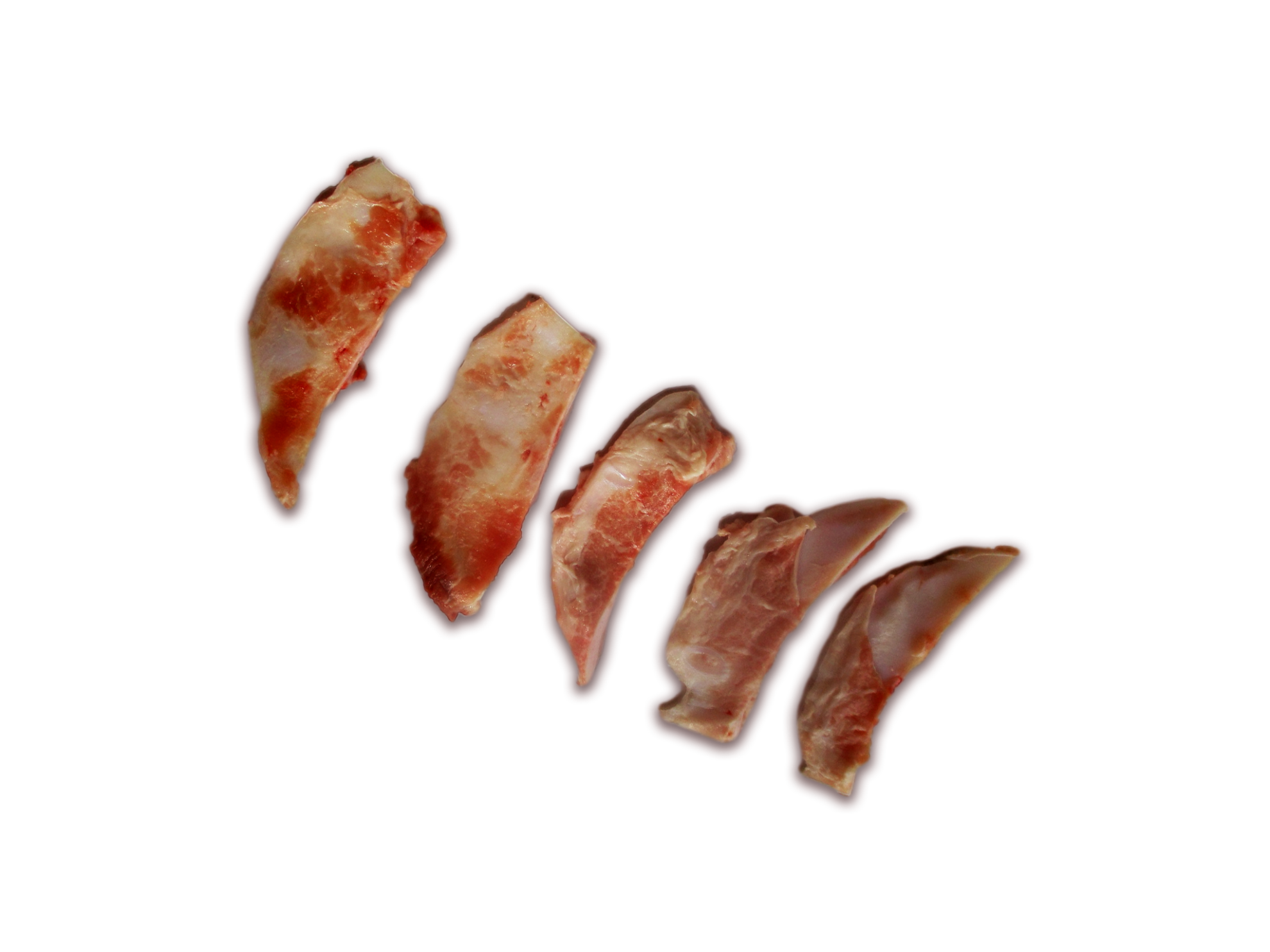 kosci-ksiezycowe-1980x1485.png
