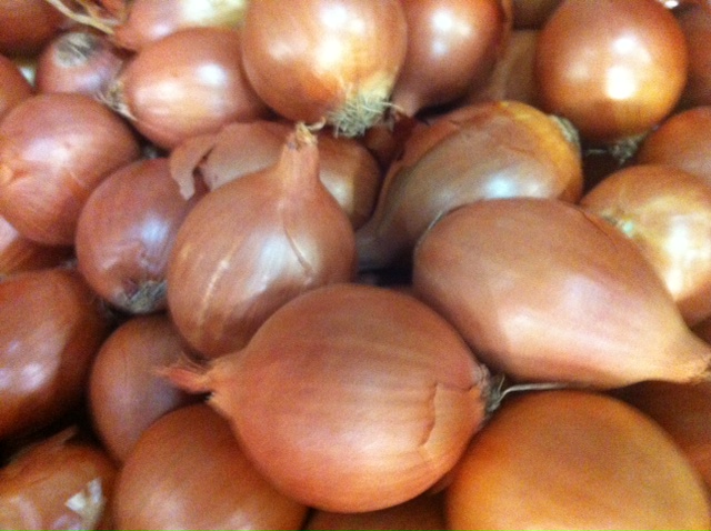 Onions brown.jpg