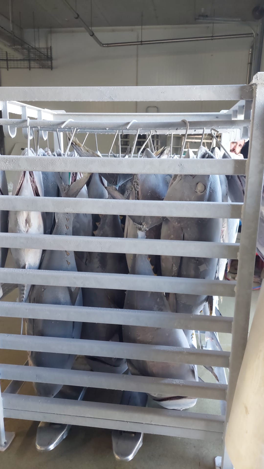 WhatsApp Image 2023-09-28 at 00.54.01 (2).jpeg