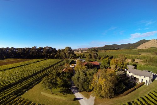The Millton Vineyard Ltd