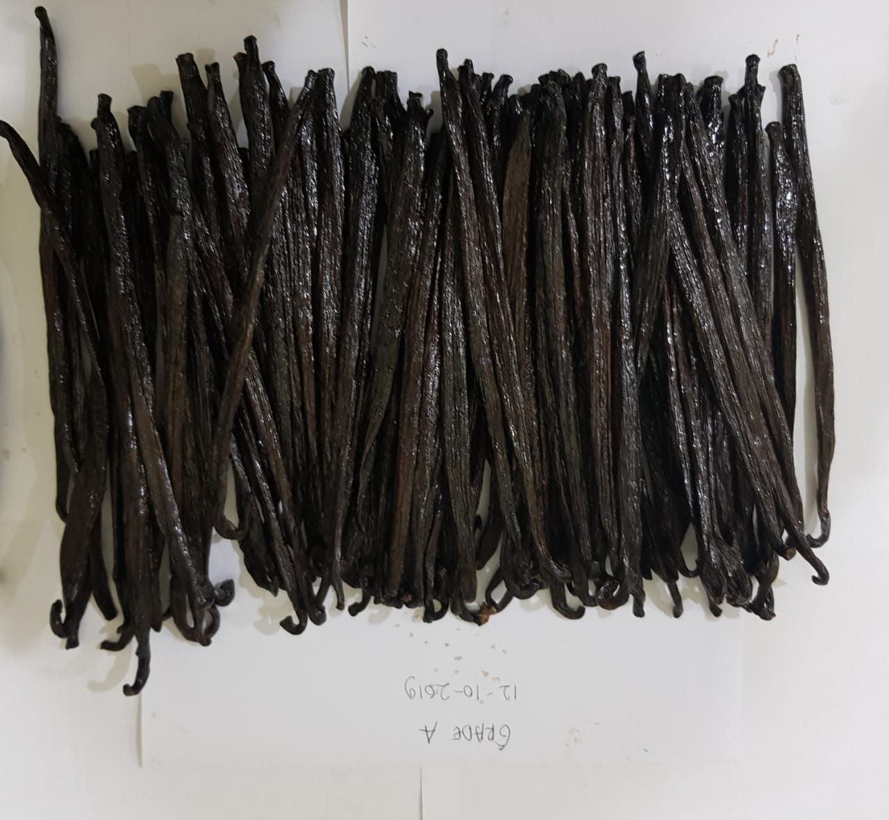 Vanilla Grade A 17 cms.jpg