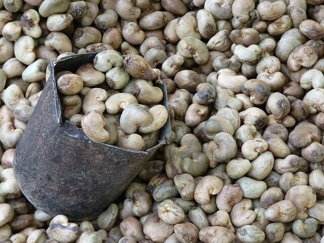 good cashew nut.jpg