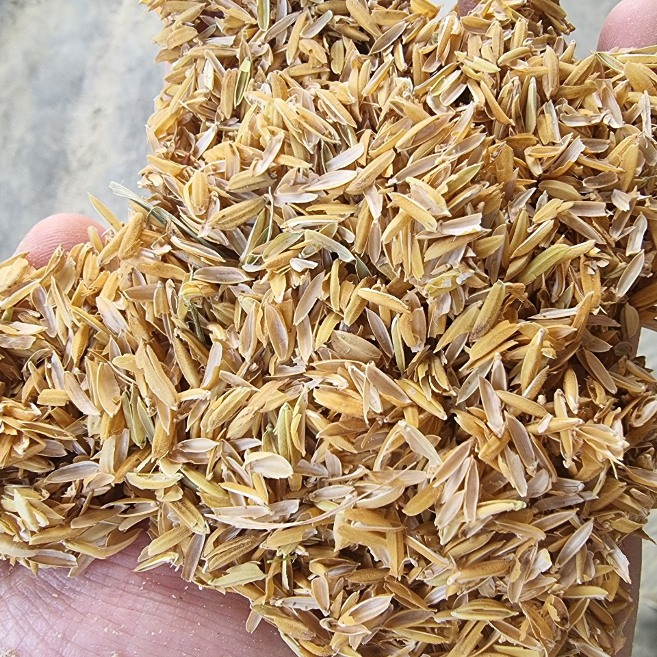 trấu.jpg