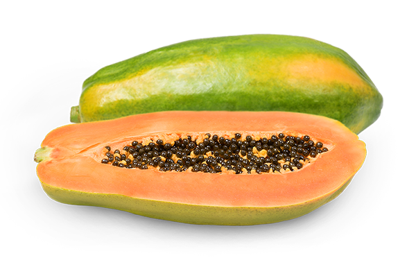 Produtos_Mamao_Formosa.png