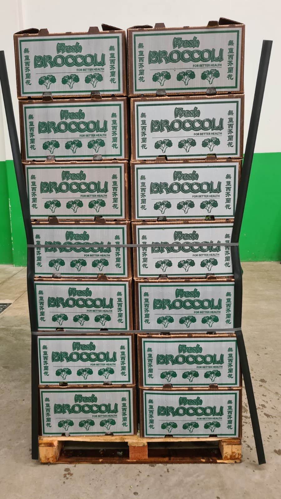 WhatsApp Image 2022-02-28 at 2.14.36 PM.jpeg