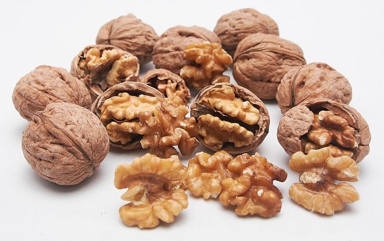 EXPORTERA WALNUTS 01.JPG