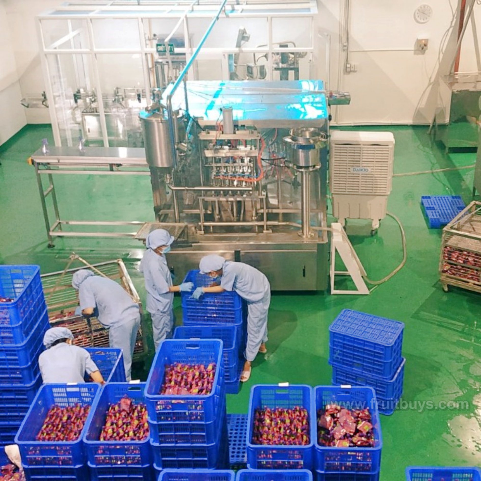 Soft Dried Dragon Fruit Slices No Sugar-FruitBuys Vietnam (2).jpg