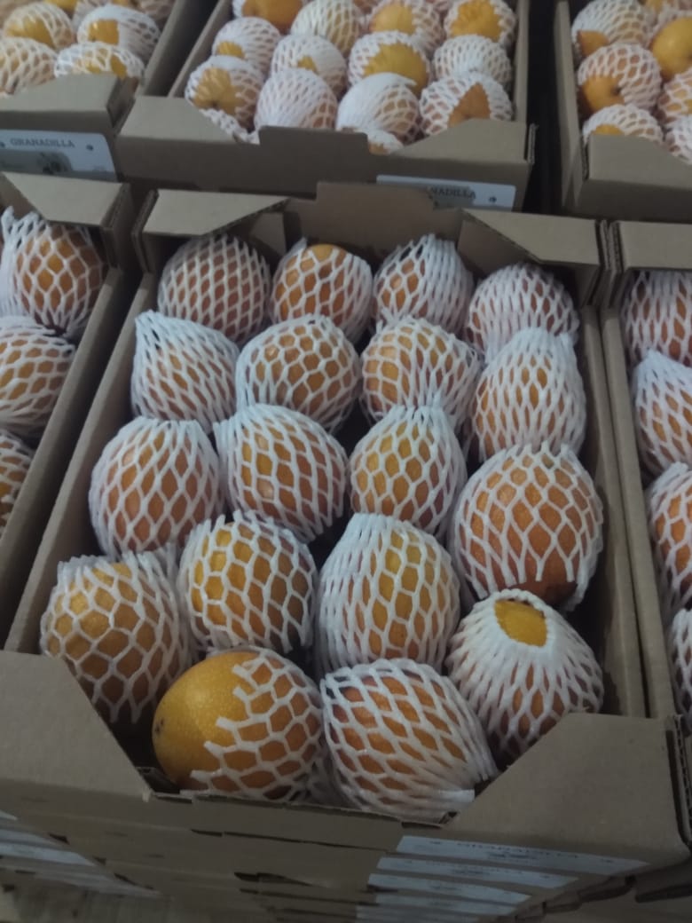 PASSION FRUIT GRANADILLA3.jpeg