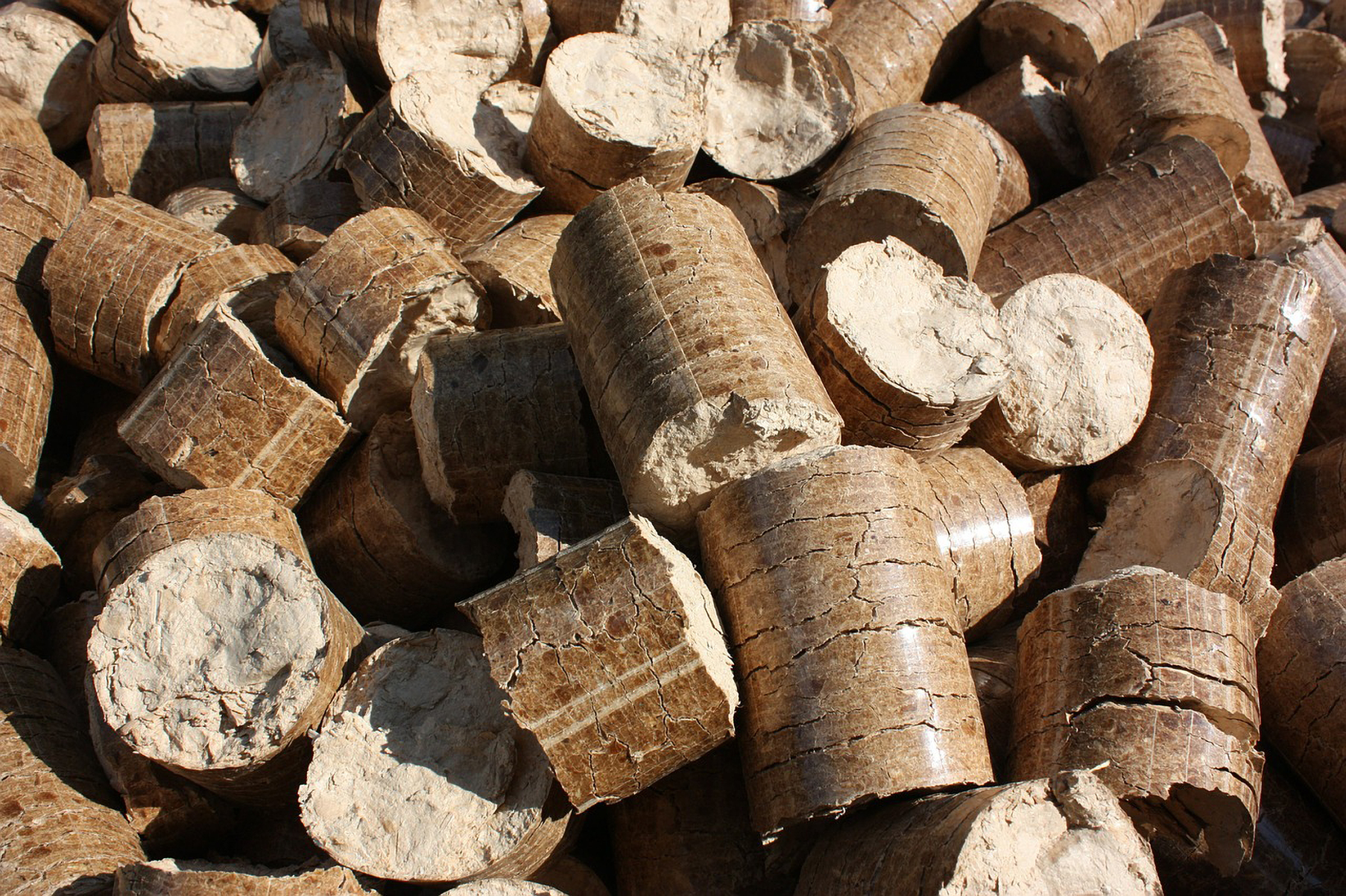 wood88.jpg