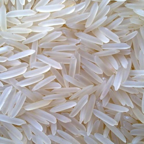 1121-steam-basmati.jpeg