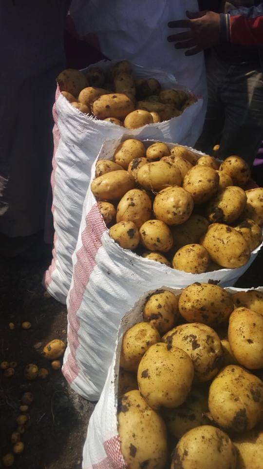 WhatsApp Image 2023-04-11 at 1.22.42 AM (1).jpeg