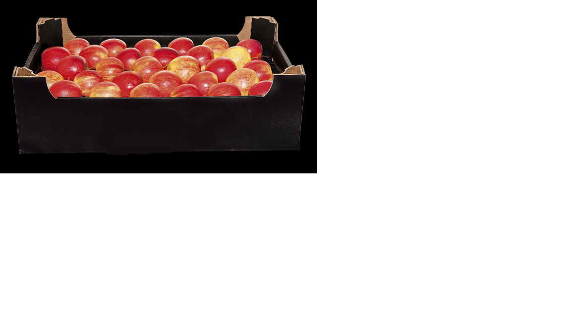 Jonagored Karton.png