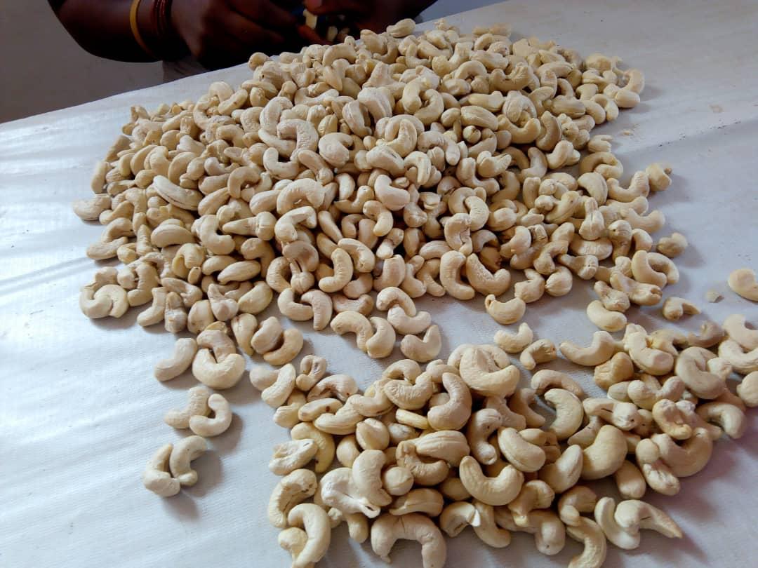Dried Cashew1.jpeg