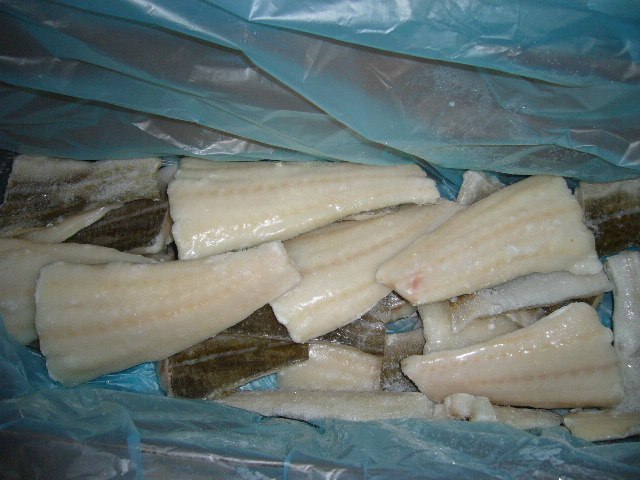 P1000100.jpg