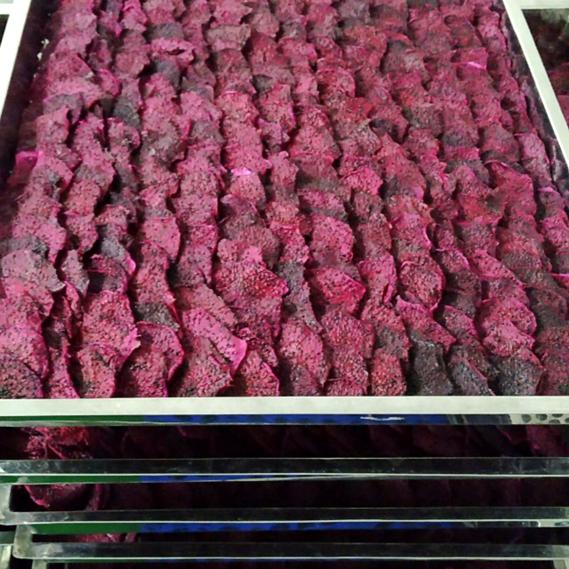Soft Dried Dragon Fruit Slices No Sugar-FruitBuys Vietnam (5).jpg