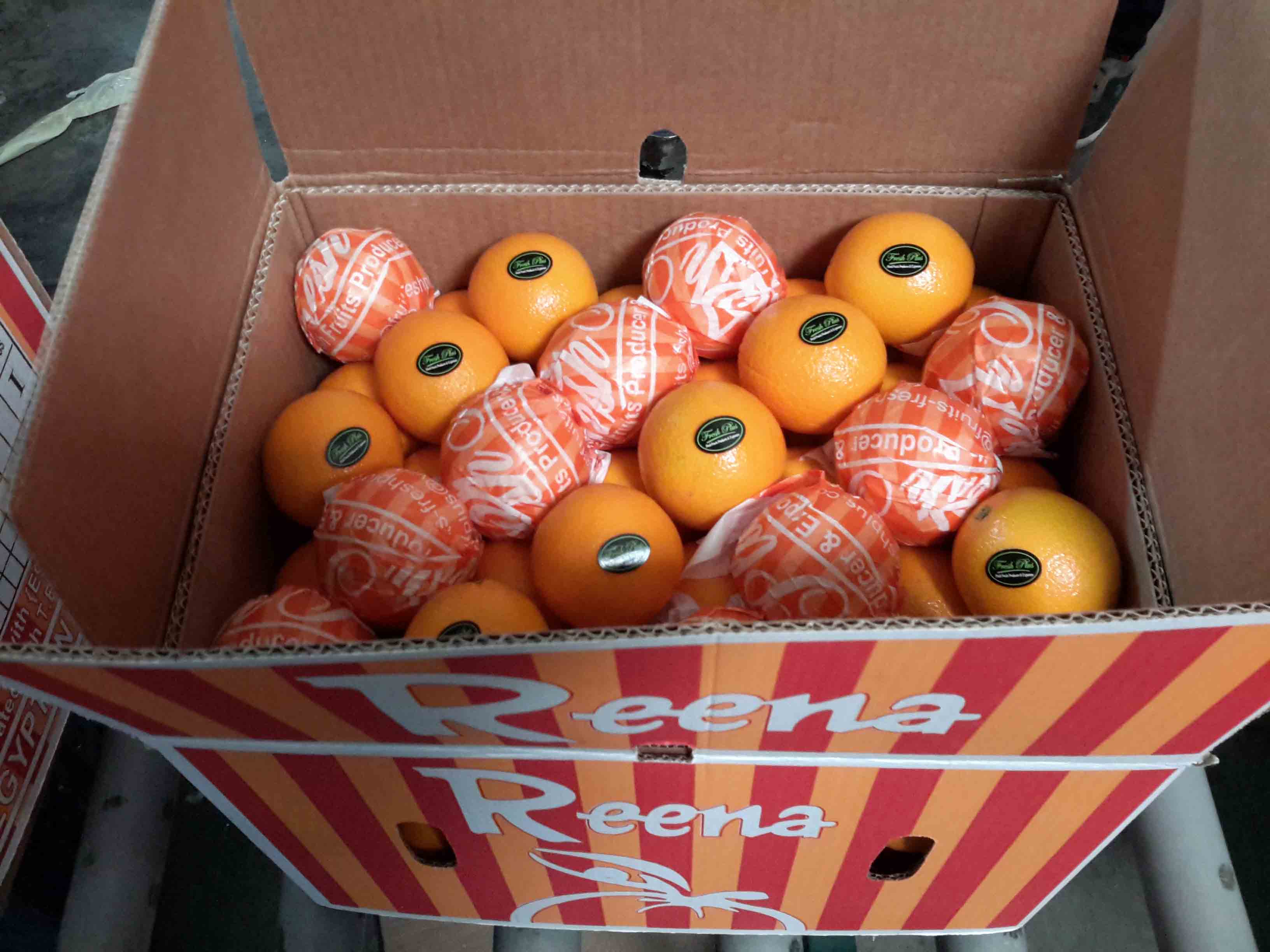 7.orang..jpg