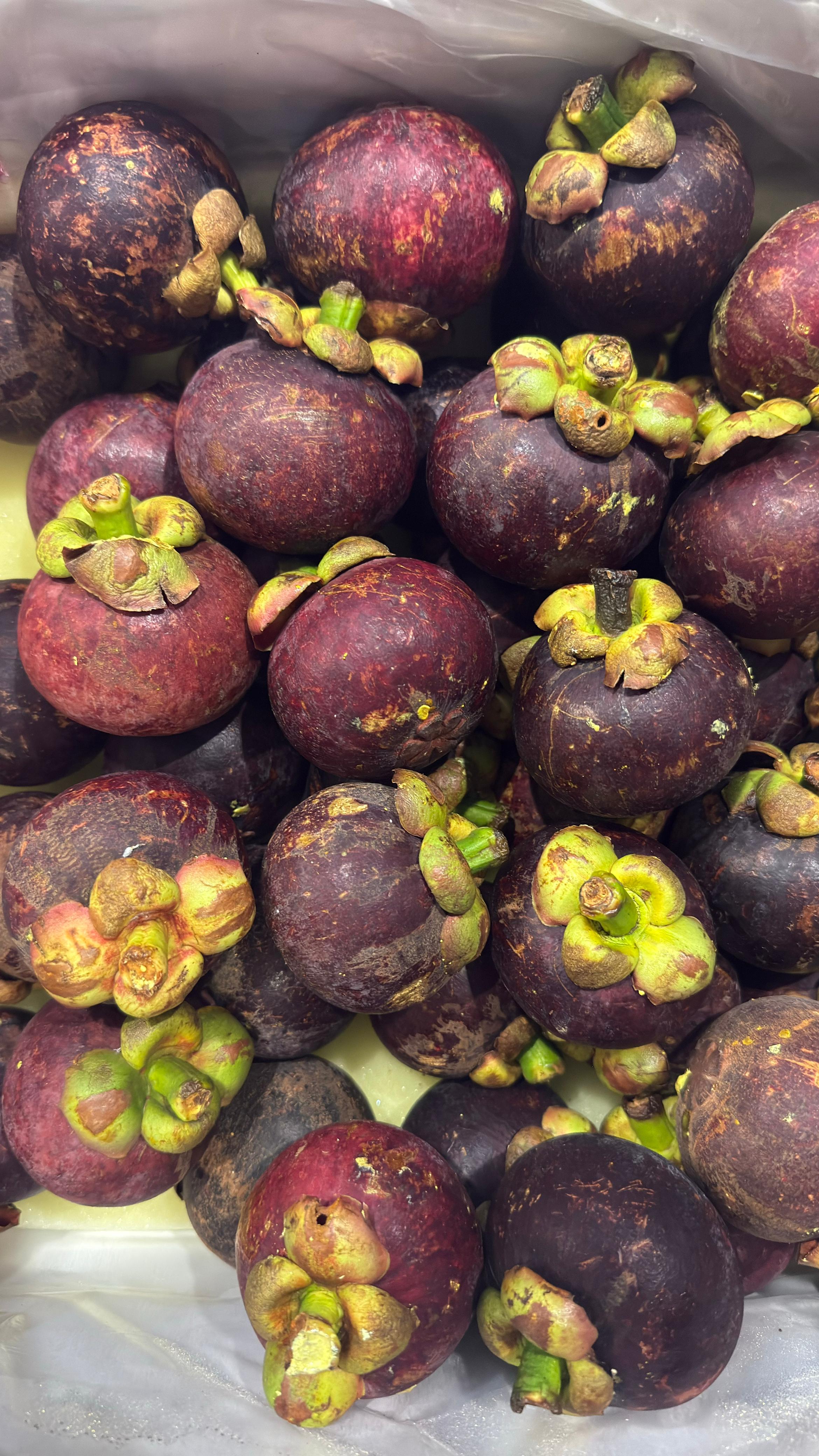 Mangosteen Sagara Rimba Altura - 6.jpeg