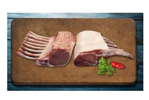 Screenshot 2023-02-09 132602.jpg