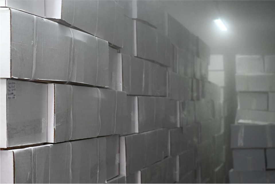 caja pulpo.png