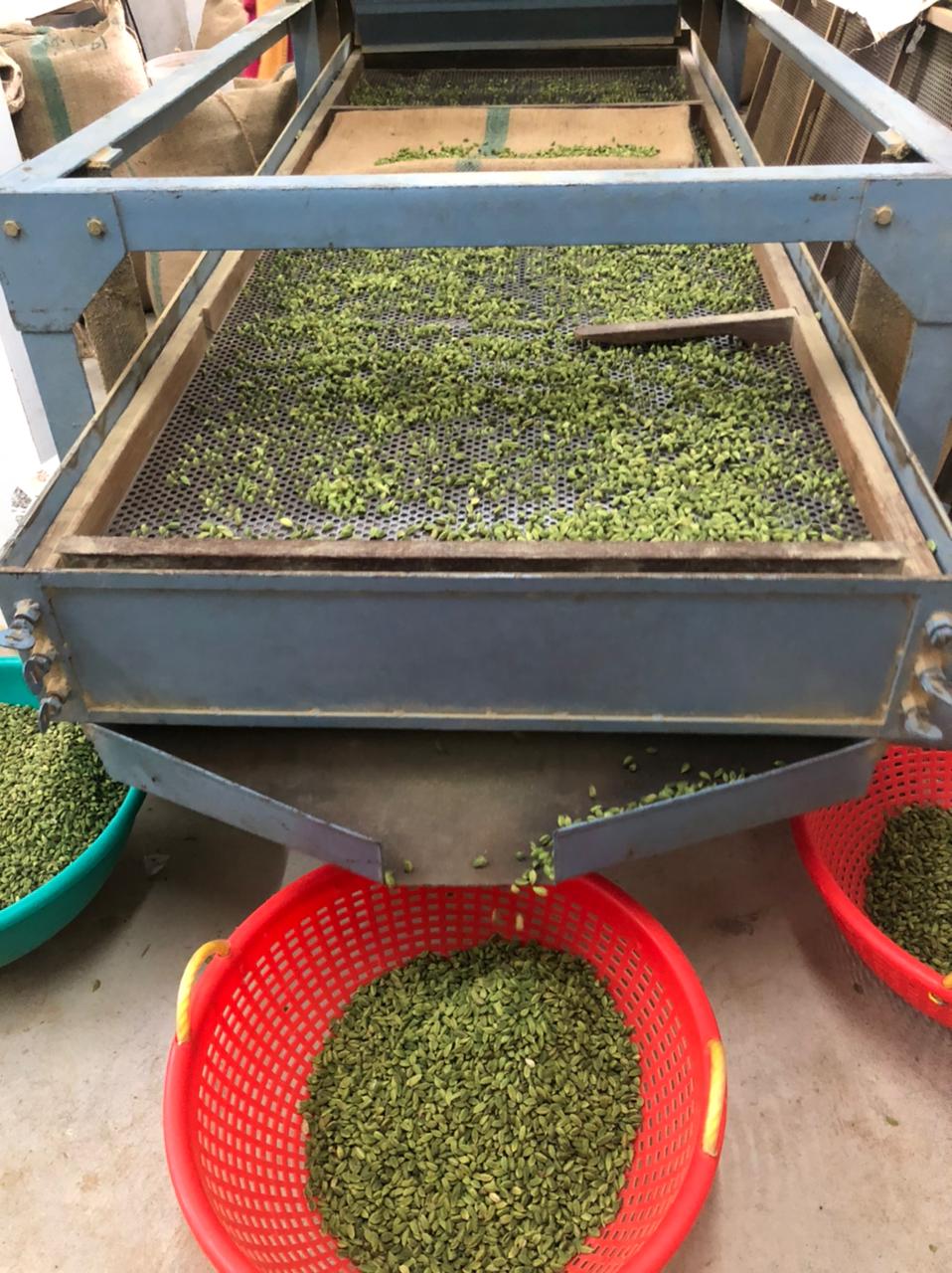 Meachanical Grader.jpg