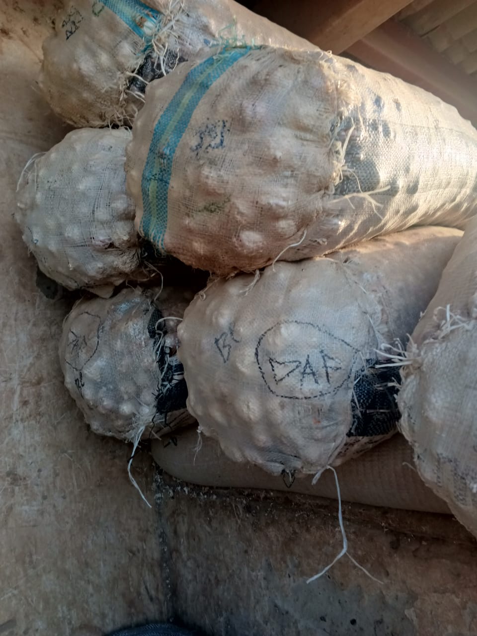 Bagged Nigerian Garlic for Sale.jpg