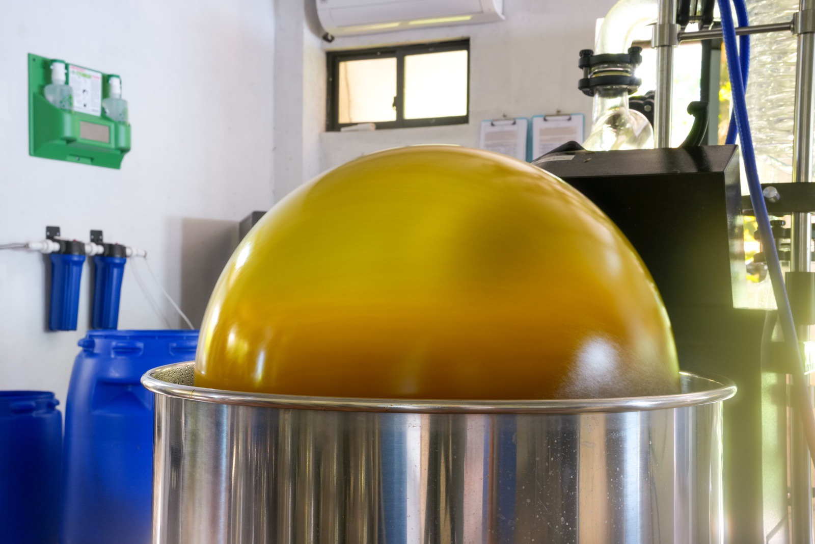 Compressed Andres third visit to Saloya August 2023032.jpg