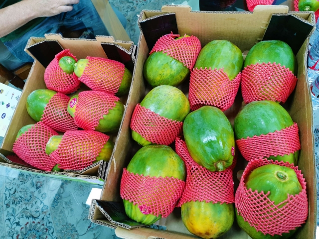papaya toro.jpg