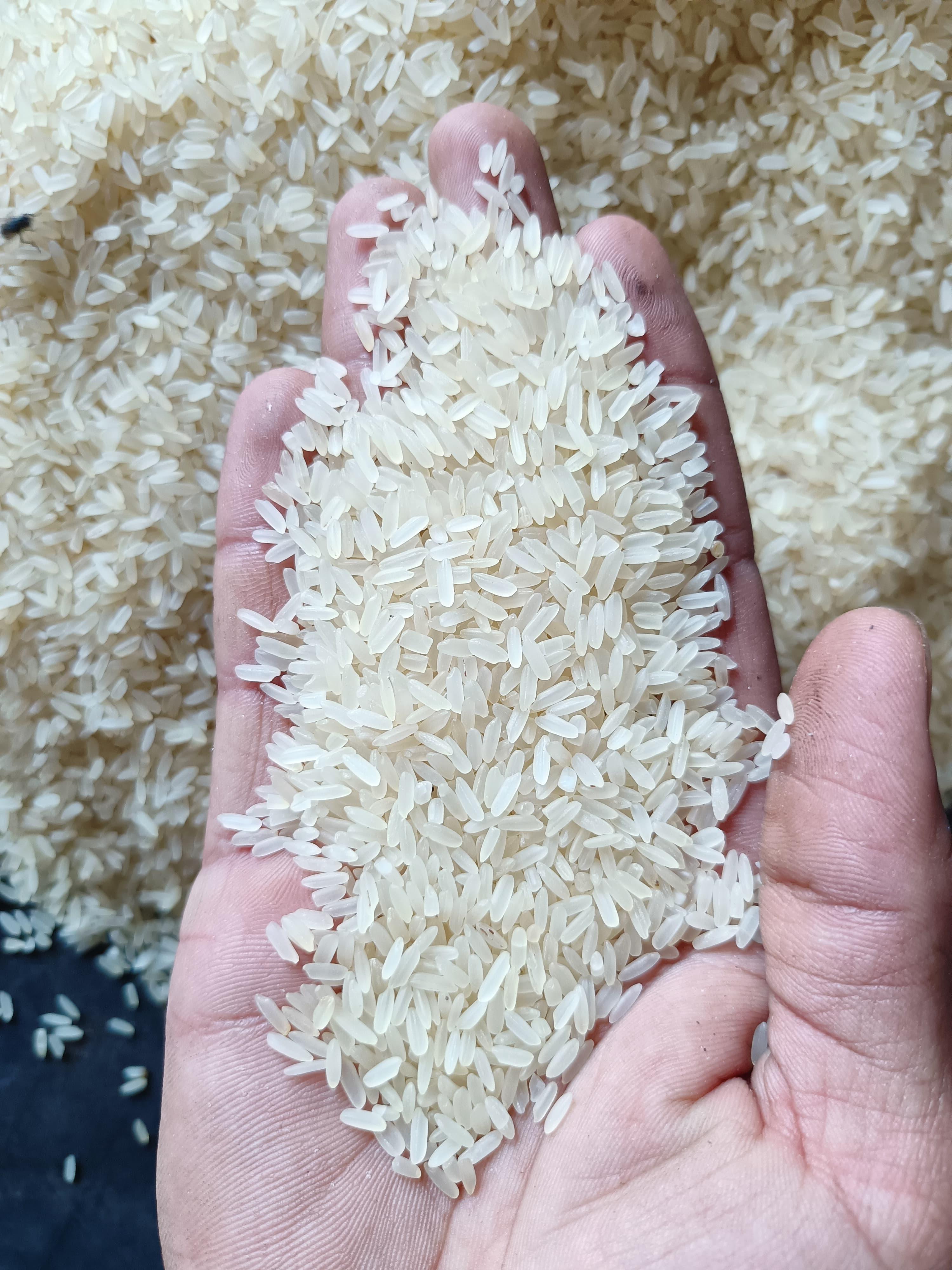 WhatsApp Image 2024-06-15 à 19.28.54_50687c16.jpg