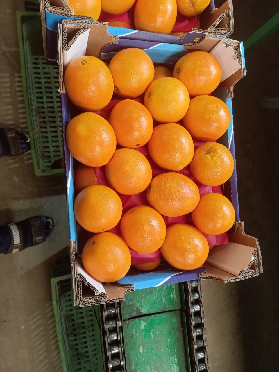 WhatsApp Image 2023-12-19 at 20.10.27.jpeg