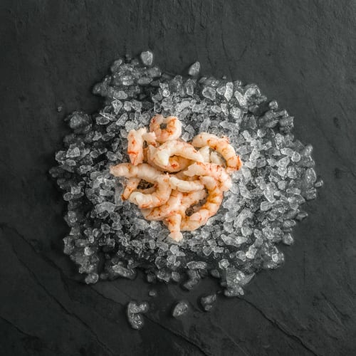Shrimp Fixed 2_1543422424.jpg