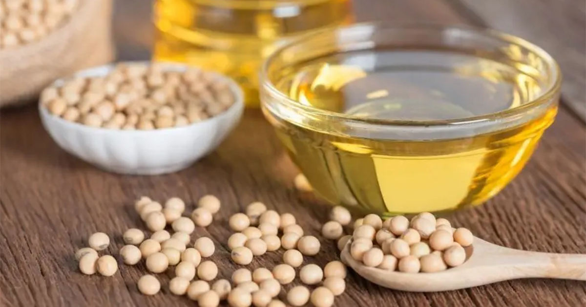Soya Bean Oil.jpg
