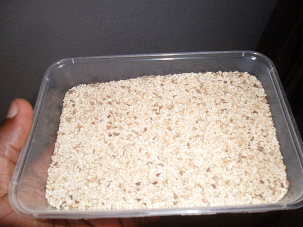 sesame 2.jpg