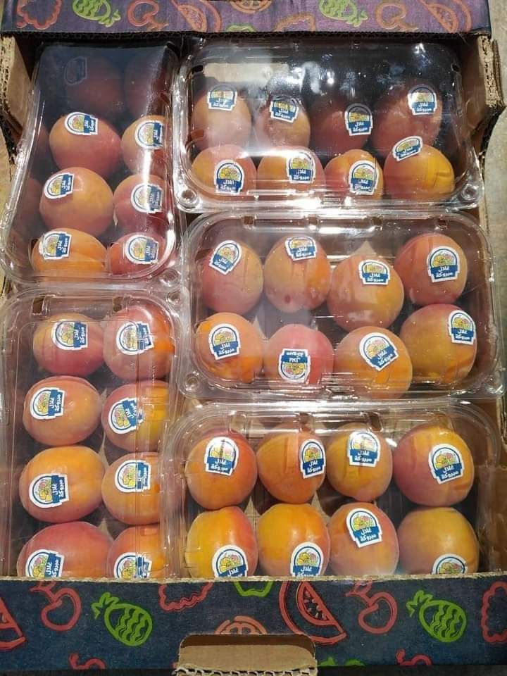 received_353556776350830.jpeg