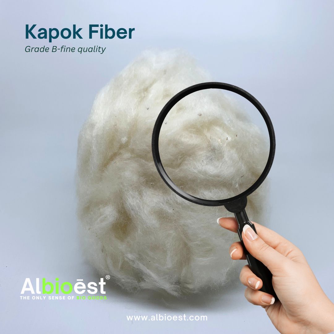 7. Kapok Fiber GRADE B-FINE Quality by PT. Albioest.jpg