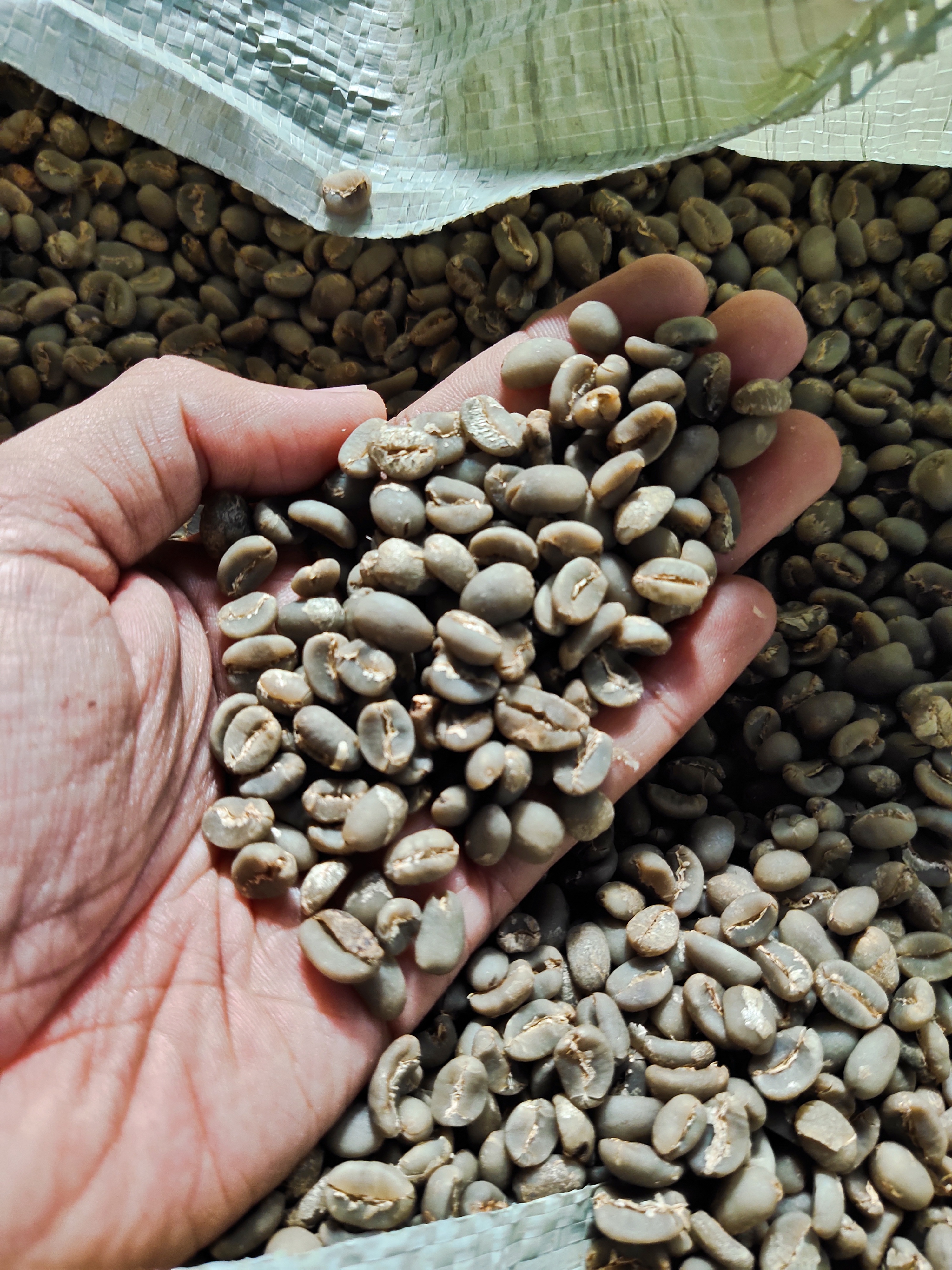 COFFEE 2.jpg