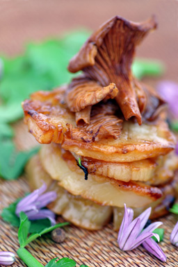 scallopsandchanterelle.jpg