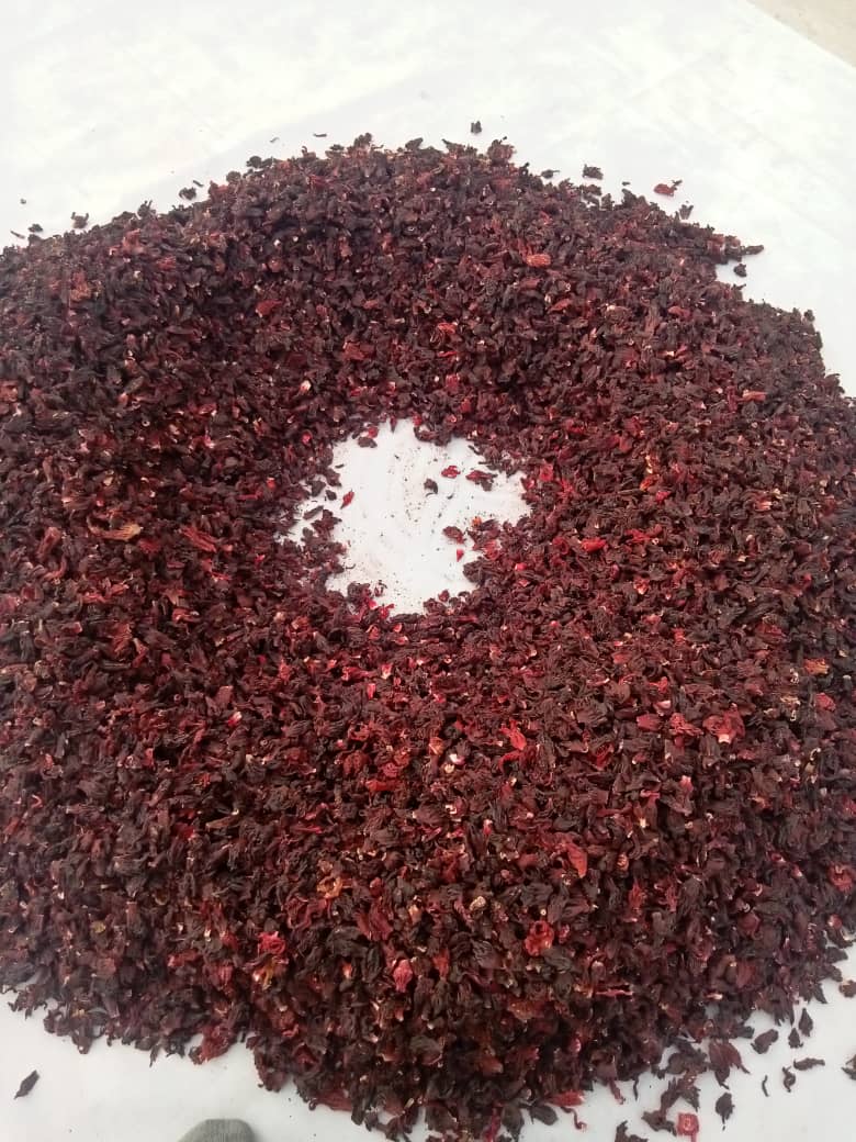 PICTURE OF FULL FLOWER OF HIBISCUS FLOWER.jpg