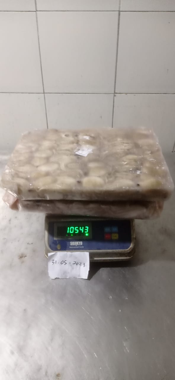 Baby Octopus_Block Frozen_GW.jpeg