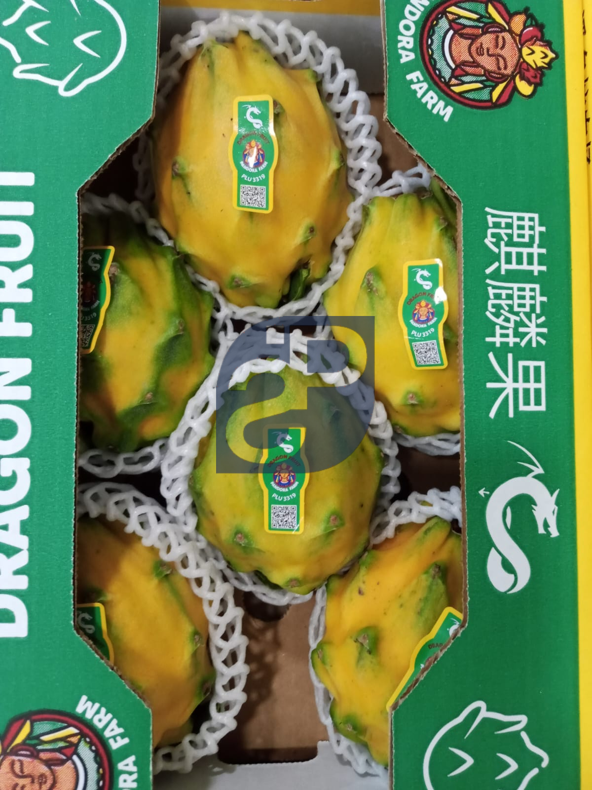 Yellow Pitaya (Dragon Fruit) - Standard & Partners #2.jpg