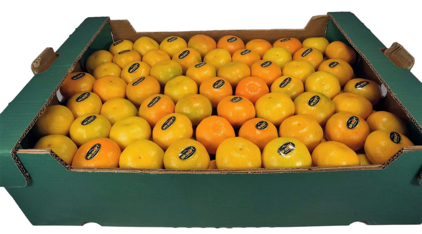 Mandarin Loose 2.jpg