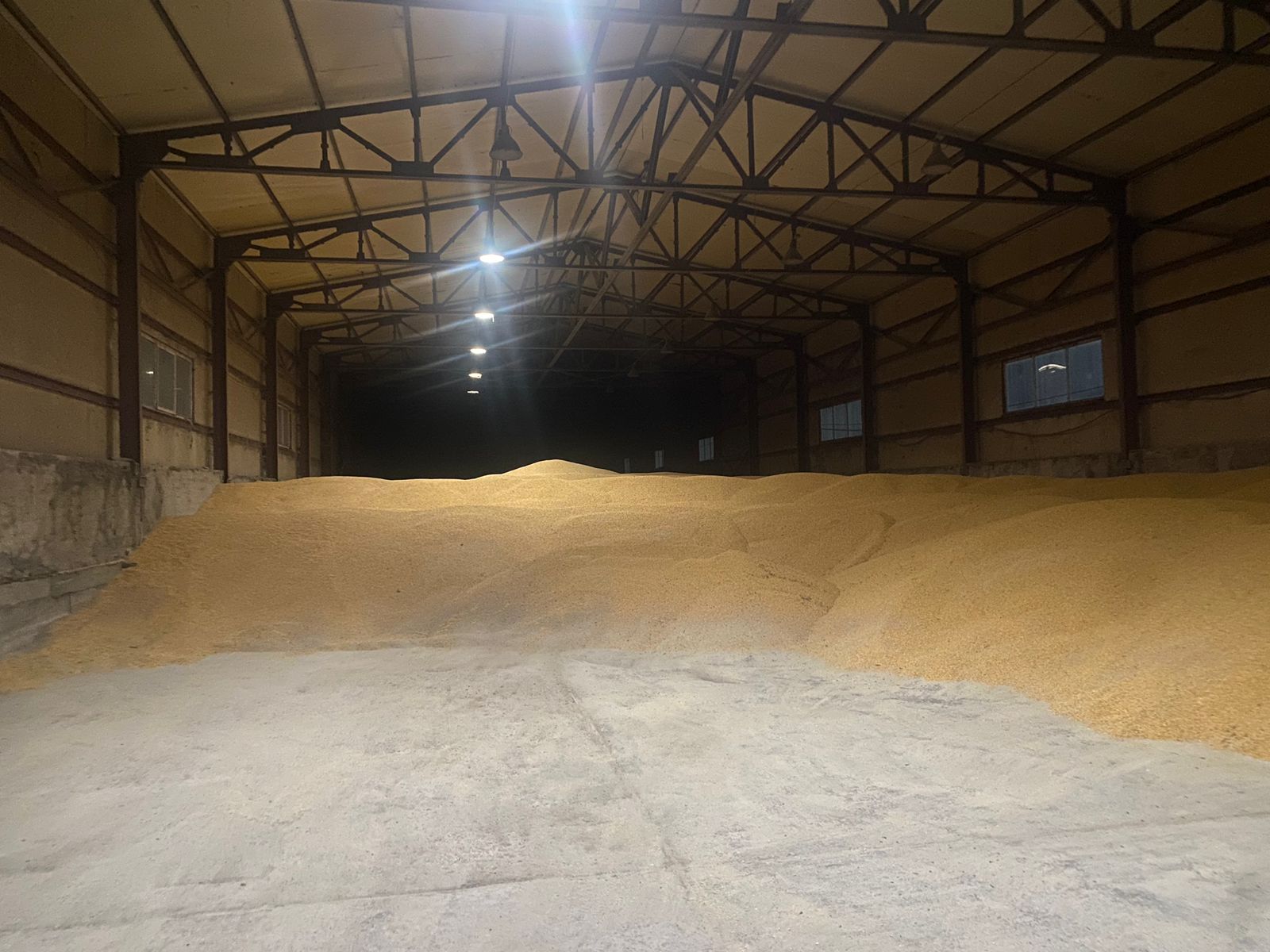 Изображение WhatsApp 2024-05-18 в 12.34.50_cf76e082.jpg