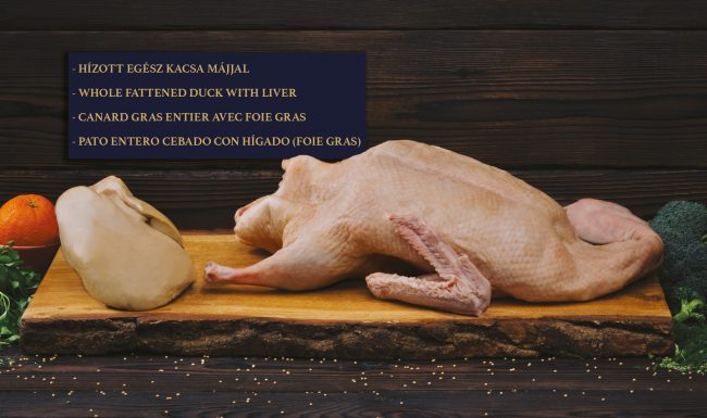 19-650x385.jpg