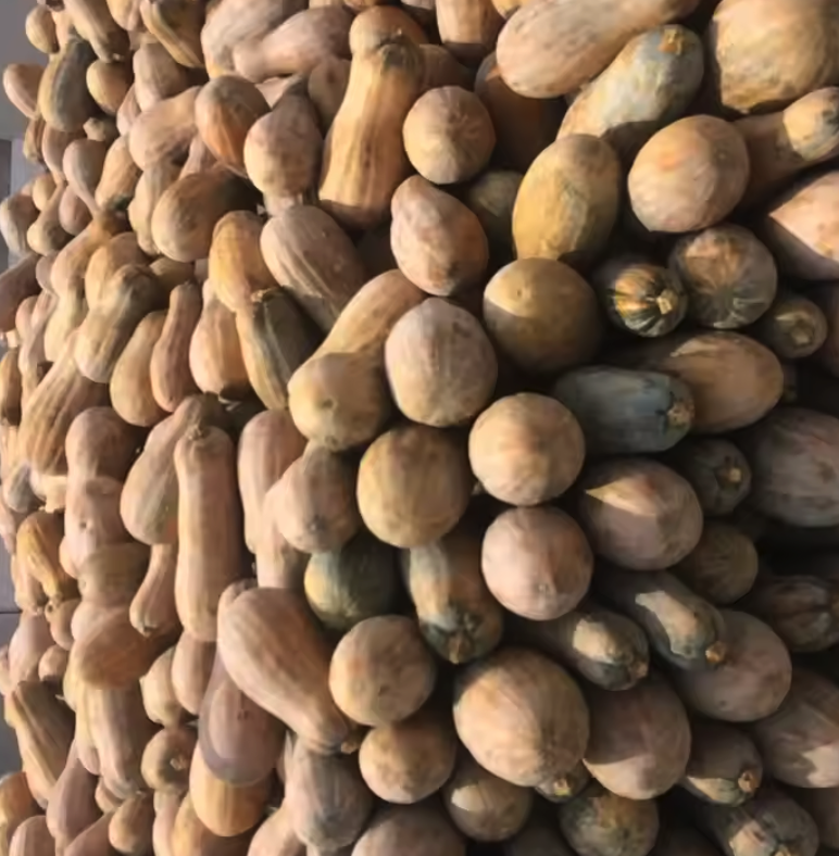 Screenshot 2025-01-03 at 15.29.50.png