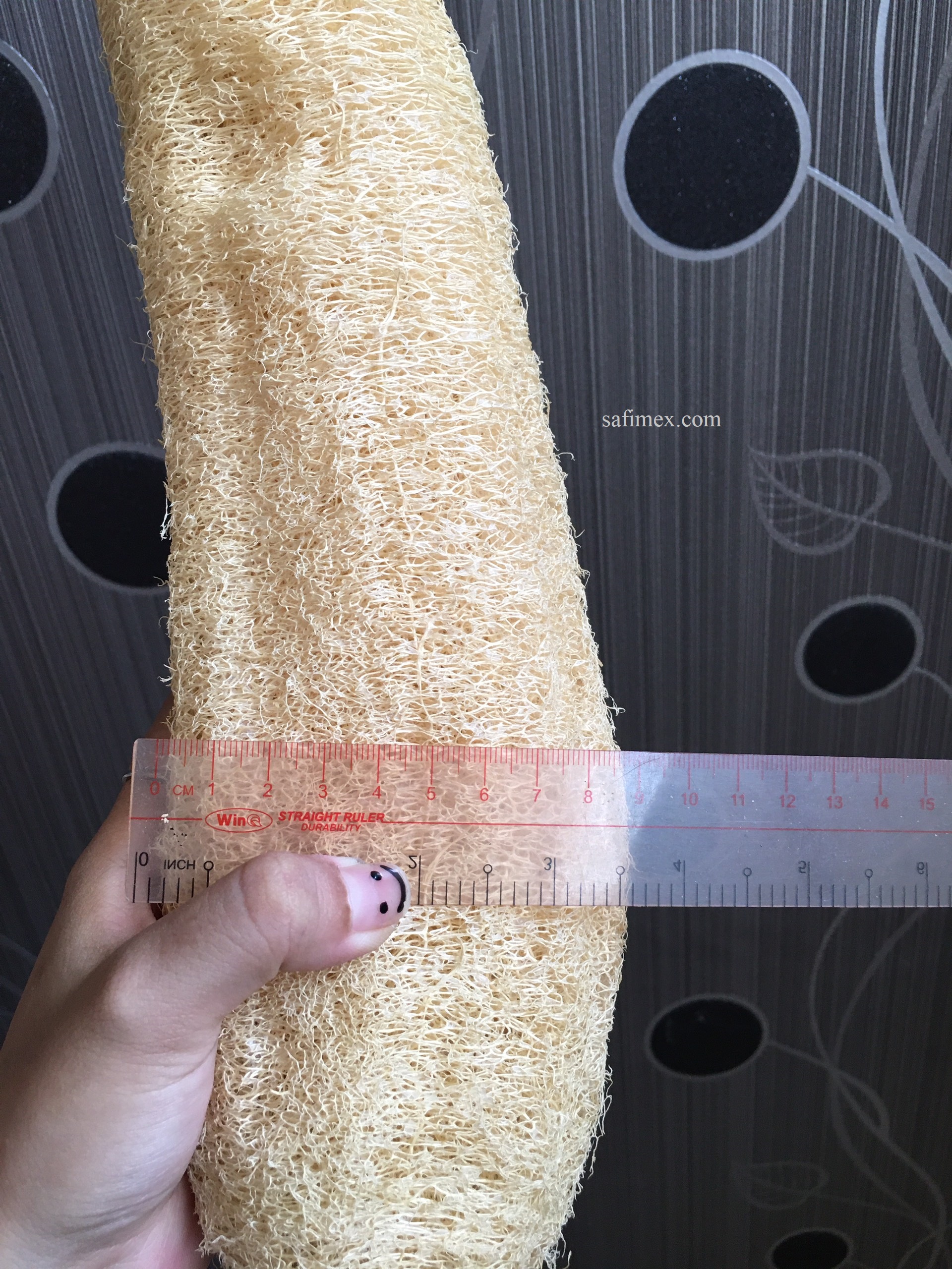 luffa7.jpg