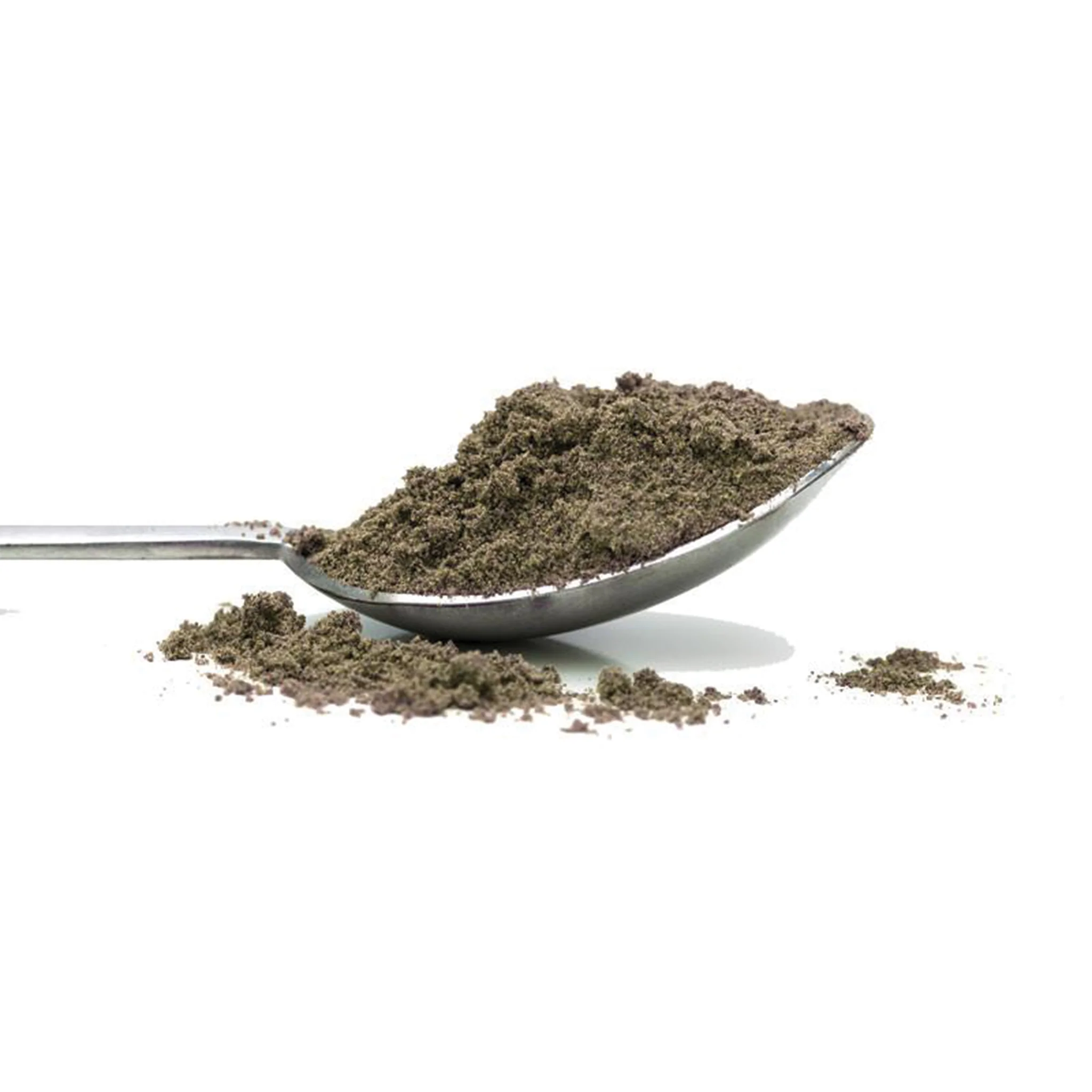 chia-protein-powder-on-spoon_d86abbf2-1067-42b8-bc30-6f44db5183b0_2048x.webp